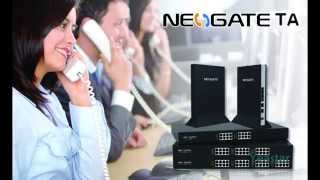 Integrate NeoGate TA FXS Gateway with IPPBX [upl. by Nauqad]