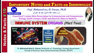 IMPORTANT NOTES and FACTS on IMMUNOLGY  Immune System Organs Part two [upl. by Dzoba]