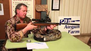 Gamo Varmint Hunter Classic Air Rifle Review [upl. by Anehsuc]