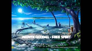 Medwyn Goodall  Free Spirit [upl. by Atiniuq]