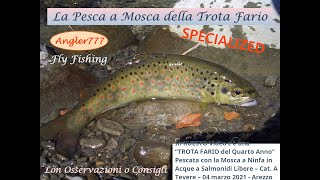 quotUna Trota Farioquot  PESCA a MOSCA della TROTA FARIO  4 marzo 2021  Ninfa Light  Tevere  Arezzo [upl. by Tierney]