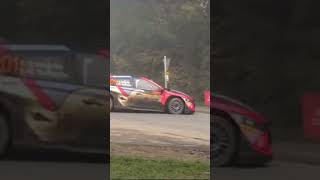 Last Test before Central European Rally 2024 thierryneuville actionrallyerally test wrc drift [upl. by Repotsirhc]