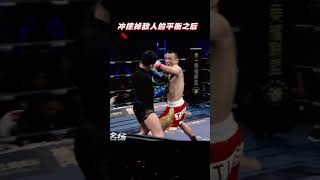 Tiger Tie Yinghua Knocks Down Enemy with Strong Legs [upl. by Ordisi11]