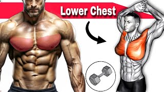 Chest Exercises for Lower Chest fat with Dumbbells only [upl. by Frayda]