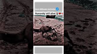 Humanity still alive💔😭 motivational status motivation whatsappstatus youtube attitude [upl. by Ib84]