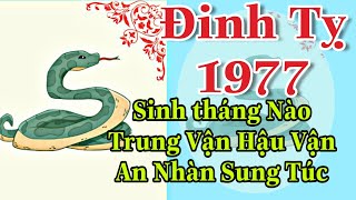 Đinh Tỵ 1977 Sinh Tháng Nào Trung Vận Hậu Vận Sung Túc Tháng Nào Càng Già Càng Khổ [upl. by Filbert]