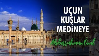 Uçun Kuşlar Medineye  Abdurrahman Önül  İlahiler [upl. by Adalard533]