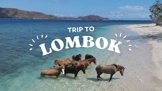 lombok  dvlog 33 [upl. by Astto]