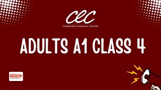 Adults A1 Class 4  Verb To Be Plural  Article AAN  Giving Personal Information  CEC [upl. by Novel309]