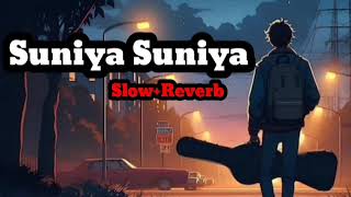 Suniya Suniya Rata  new slow reverb  Lofi Song 2024  new punjabi trending slowed viralvideo [upl. by Marshall]