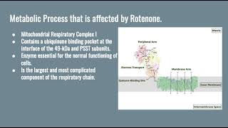 Rotenone The Toxic Chemical that Kills Our Fish [upl. by Kreitman265]