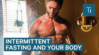 How Intermittent Fasting Affects Your Body and Brain  The Human Body [upl. by Lleynod369]