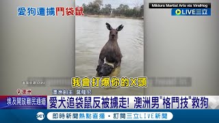 愛犬追袋鼠反被擄走quot變人質quot 澳洲男場與袋鼠大打出手 展quot格鬥技quot救狗一命│【國際大現場】20231020│三立新聞台 [upl. by Docilu201]