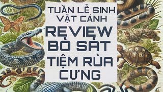 Review BÒ SÁT tại TUẦN LỄ SINH VẬT CẢNH  Reptile Review at the Ornamental Creatures Week [upl. by Akyssej978]