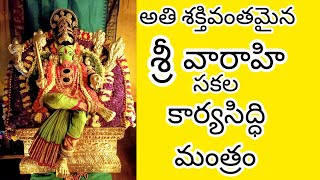 శ్రీ వారాహి సకల కార్యసిద్ధి మంత్రం most powerful Sri varahi sakala karya siddhi Mantra for victory [upl. by Eiveneg]