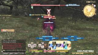 Final Fantasy XIV A Realm Reborn  Conjurer Hunting Log Rank 3 [upl. by Nostaw]