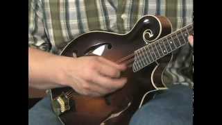 Collings MF5 Mandolin  Jesse Cobb  quotBilly in the Low Groundquot [upl. by Mccord]