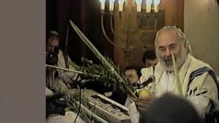 Shlomo Carlebach  Meaning amp Importance of Hoshana Rabbah [upl. by Grantley]