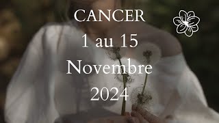 Cancer ♋️ 1 au 15 Novembre 2024  Fais toi confiance [upl. by Skcirdnek]