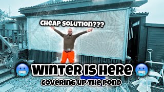 Will it work CHEAP Pond COVERS solution  Getting the pond ready for winter Should I cover [upl. by Clari]