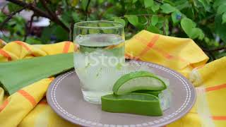 How Aloe Vera Juice Benefits Your Gut The Ultimate Gut Health superfood natural nature [upl. by Huang]