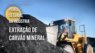 Conheça o setor de extração de carvão mineral  2024 [upl. by Harimas]