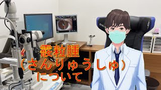 【霰粒腫】眼にしこりができた！（アニメ動画） [upl. by Hedda768]