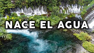 Aquí es donde NACE EL AGUA 💦 el descabezadero de Actopan Veracruz [upl. by Edia]