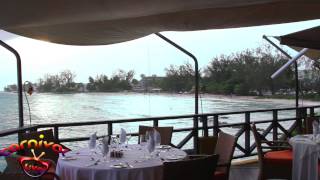 Barbados Champers Restaurant  carnivallivetv [upl. by Genisia584]