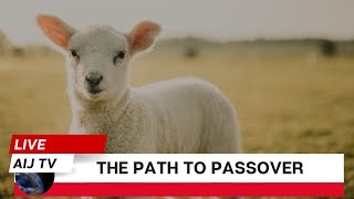 The Path to Passover Allies Law Rebirth [upl. by Dacy]