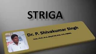 Striga  witchweed  Orobanchaceae  Angiospermic parasite  Dr P Shivakumar Singh [upl. by Rance]