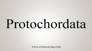 How To Say Protochordata [upl. by Dnarb]