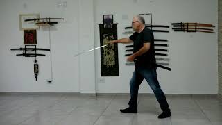 Toyama Ryu Iaido Brasil [upl. by Helaine]