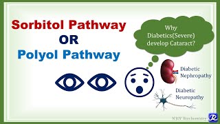 21 Sorbitol or Polyol Pathway  Carbohydrate Metabolism  Biochemistry  NJOY Biochemistry [upl. by Idas]