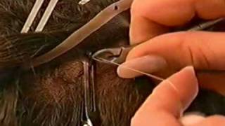 Hair replacement systems and services in the greater Boston area  Suisse Salon  Channel 7 News [upl. by Ragen]