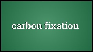 Carbon fixation Meaning [upl. by Okihsoy]