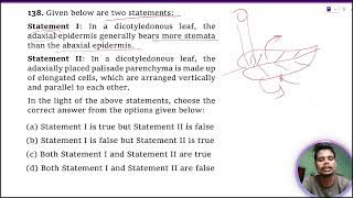 Given below are two statements Statement I In a dicotyledonous leaf the adaxial epidermis [upl. by Adnarb]