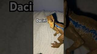 DACIN short music [upl. by Karmen164]