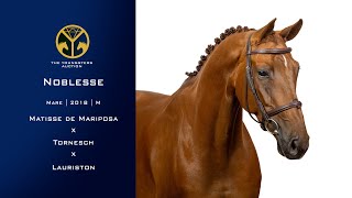 21 Noblesse Matisse de Mariposa x Tornesch x Lauriston [upl. by Atkinson]