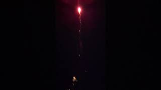 Rattlesnake VS Spinning Bee Firework [upl. by Audres]