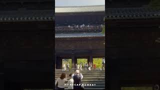 Kyoto vlog❤️ INDIAN LIVING IN JAPAN a day in life japan travel kyoto [upl. by Nnaeiluj438]