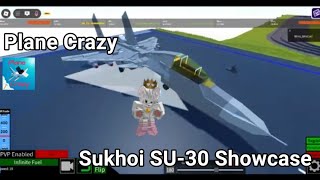 Plane Crazy Sukhoi SU 30 Showcase [upl. by Nerad56]