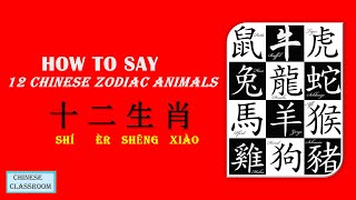 How to say 12 zodiac animals in Chinese 十二生肖 学中文 [upl. by Liuqnoj375]