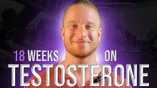 18 Week Testosterone Cycle Update [upl. by Sayed276]