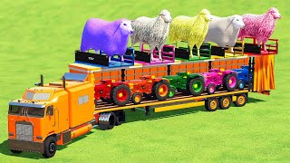 LOAD AND TRANSPORT SHEEP COLORED WITH JOHN DEERE and MINI TRACTORS  FARMING SIMULATOR 22 [upl. by Battat]