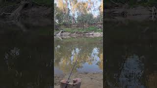 goulburn river Victoria riverside Australia fishing camping vanlife [upl. by Aniahs847]