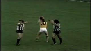 1979 VFL Round 13 Collingwood v Hawthorn ABC The Winners highlights [upl. by Lered]