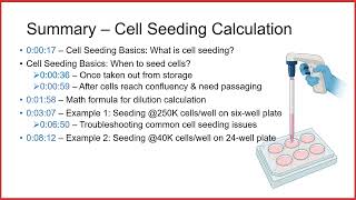 Cell seeding calculation [upl. by Hgielime]