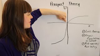 Prospect Theory An Overview [upl. by Yrrem310]