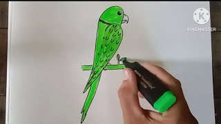 How to draw parrot from 12  tota banane sikho [upl. by Simpkins]